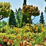 Holiday Inn - The Niu, Flower Konstanz By Ihg