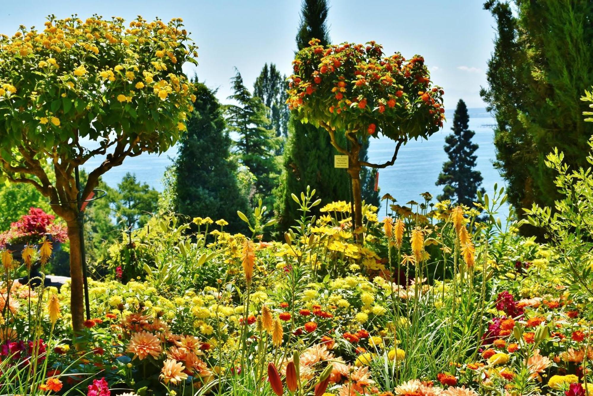 - The Niu, Flower By Ihg Hotel Konstanz